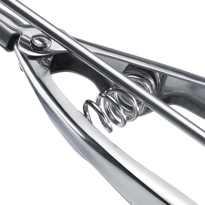 Ложка для морозива Westmark/ложка для морозива, з ручкою щипців, довжина 21,8 см, нержавіюча сталь, професійна, срібло, 62942270 5 см