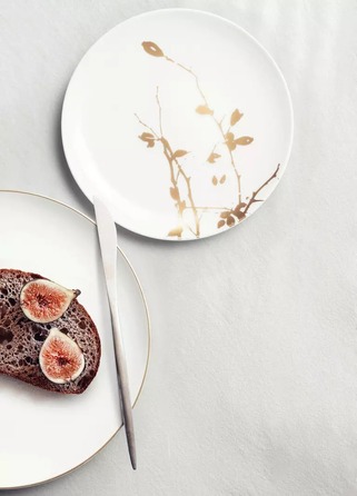 Тарелка для завтрака 22,5 см Golden Rose Hip Liberty Seltmann Weiden