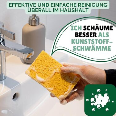 Набір із 6 екологічна губка для посуду з кокосовим скребкома Protea