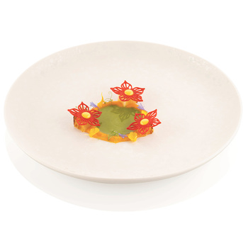 BOTANICA Форма силіконова 'ботаніка' Ø84 – Ø46 h1,5 мм