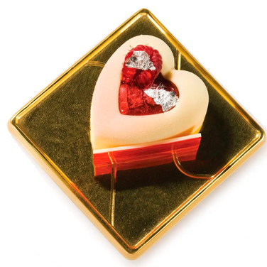 SF088/C Форма из резины