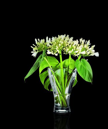 Ваза хрустальная 27 см Calypso Nachtmann