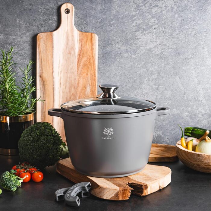 Набір з 2 каструль 6 та 10 л з кришками, сірий KARL HAUSMANN