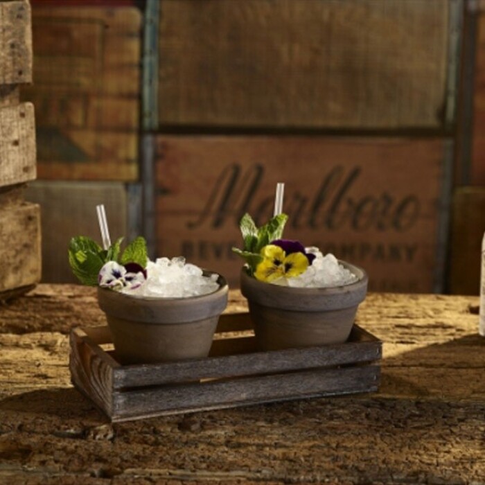 Піднос, 25*12*5 см, GenWare