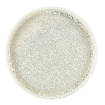 Презентаційна тарілка з бортиком 20.5*h 2.9 см, Terra Porcelain Pearl, GenWare