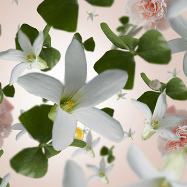 Аромат для лампи Maison Berger Paris PRECIOUS JASMINE, 500 мл