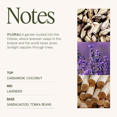 Ароматна свічка La Jole Muse у скляній свічці, подарунок для жінок, ароматичні свічки з сандаловим деревом для дому, час горіння 55 годин, 170 г. (Лаванда-бузок)