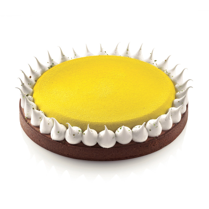 KIT TARTE RING ROUND D230 MM Форма из резины