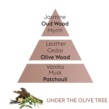 Диффузор Maison Berger Paris PRUNE SCANDAL + Наполнитель с ароматом UNDER THE OLIVE TREE, 200 мл