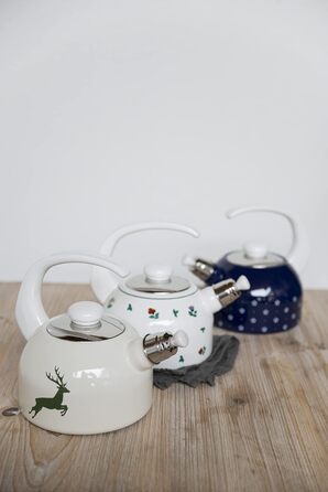 Чайники для плити Riess