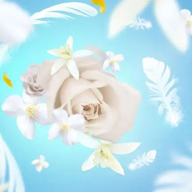 Аромат для лампи Maison Berger Paris DELICATE WHITE MUSK, 500 мл