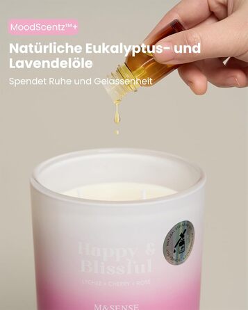 Ароматичні свічки M&SENSE Сосна та кедр у банці, велика соєва свічка 400 г з двома гнітами, час горіння 80 годин, ароматерапевтична свічка для йоги, спа та медитації. Подарунок для дівчини, дружини чи матері. Сосна та кедр (лічі, вишня та троянда)
