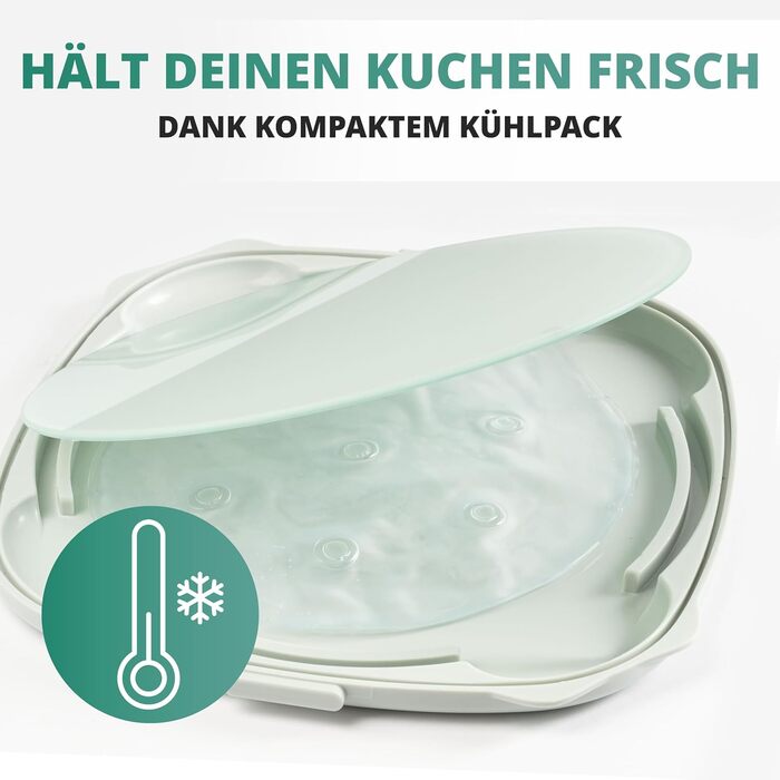 Контейнер для тортов переносной 33 x 34 x 19 см, зеленый Homelyn