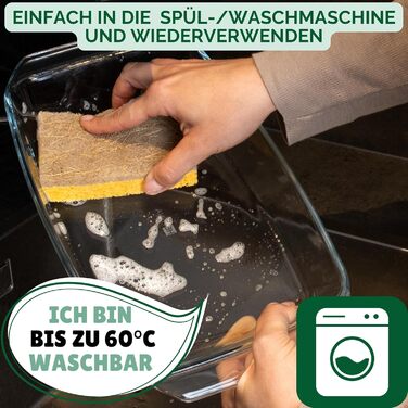 Набір із 6 екологічна губка для посуду з кокосовим скребкома Protea