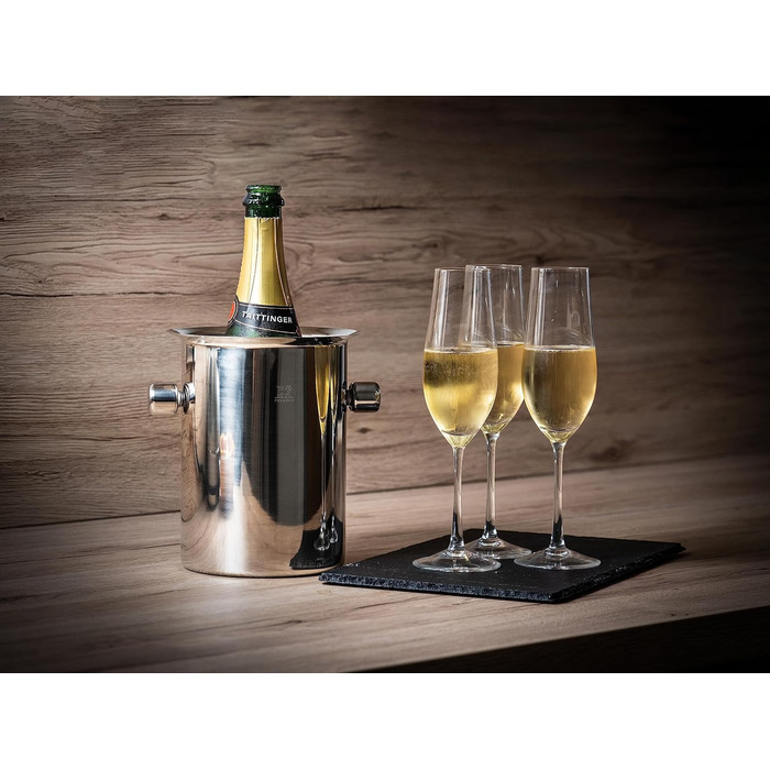 Охолоджувач пляшок Peugeot з пакетами з льодом, Для пляшок шампанського та вина, Висота 19 см, Нержавіюча сталь, 220068