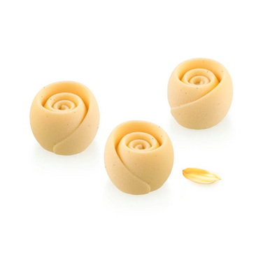 GIVRE 30 Форма силіконова