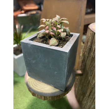 Вазон з бетону для рослин 28 х 28 х 28 см GRILLI