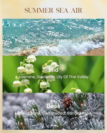 Ароматична свічка M&SENSE надзвичайно велика, час горіння 150 годин, натуральна ароматерапевтична свічка з 3 гнітами, сильний аромат, тривале горіння, подарункова свічка та прикраса для дому, подарунки для жінок (990 г, літній морський бриз)