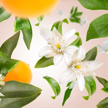 Дифузор Maison Berger Paris ICE CUBE з ароматом ORANGE BLOSSOM, 100 мл