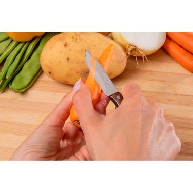 100101 Ніж для чистки серія 'Latina' 65 мм