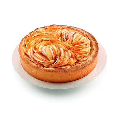 SFT226/C Форма из резины