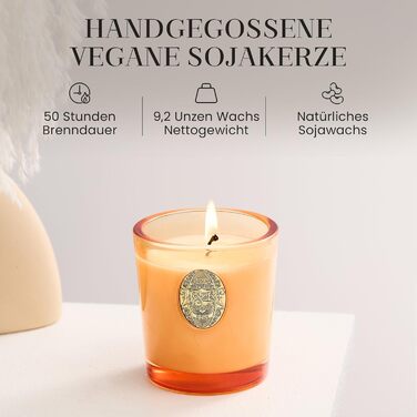 Ароматна свічка M&SENSE &quotЛісова хатина&quot, ароматичні свічки у склянці, натуральна соєва свічка, час горіння 55 годин, подарункові свічки для жінок та чоловіків, подарункова свічка (базилік-імбир, 260 г)