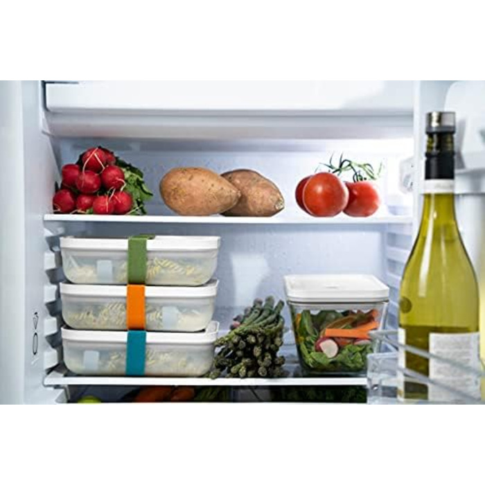 Эластичные ленты для лач-боксов, 3 шт. разноцветные Dino Zwilling