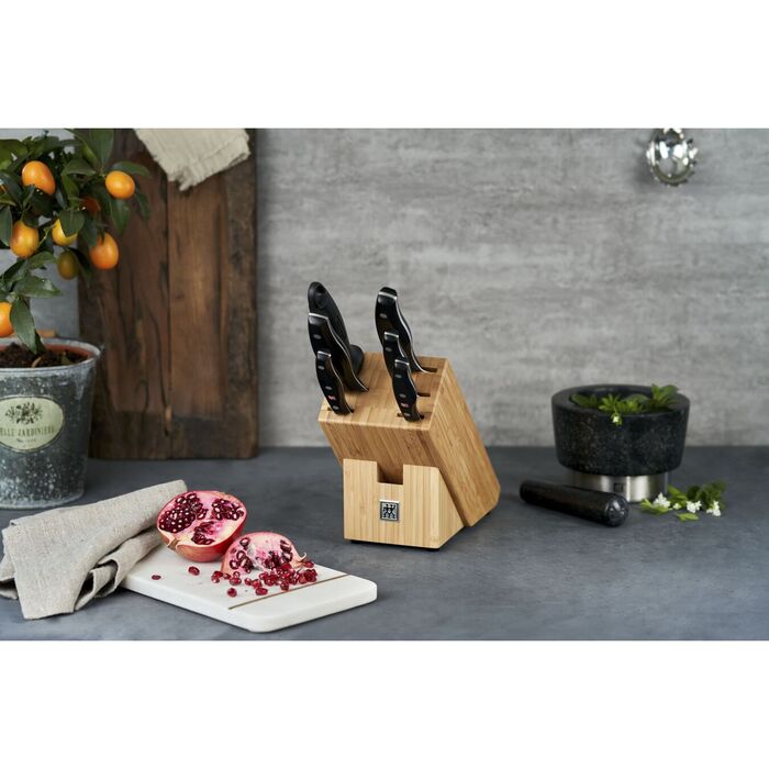 Колекція Twin Pollux от Zwilling