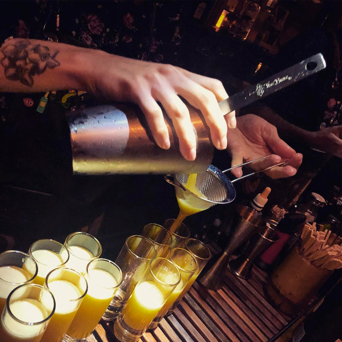 TIN04VT Шейкер