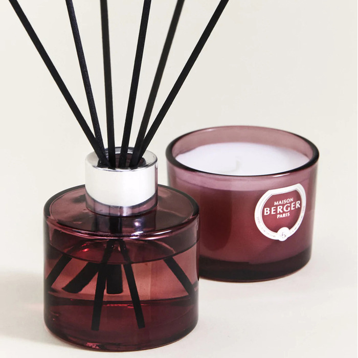 Диффузор Maison Berger Paris DUALITY, 80 мл и свеча 80 гр. с ароматом BLACK ANGELICA