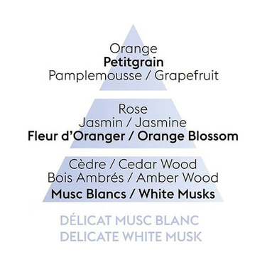 Аромат для лампи Maison Berger Paris DELICATE WHITE MUSK, 500 мл