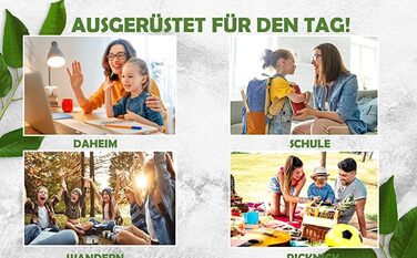 Ланч-бокс металевий для дітей 500 мл Viwanda