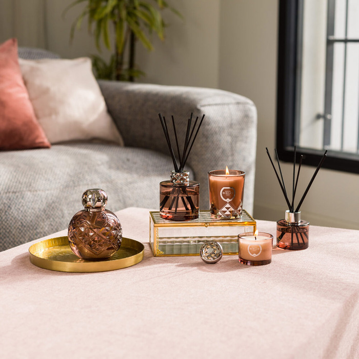 Диффузор Maison Berger Paris JOY, с ароматом AGAVE GARDEN, 180 мл