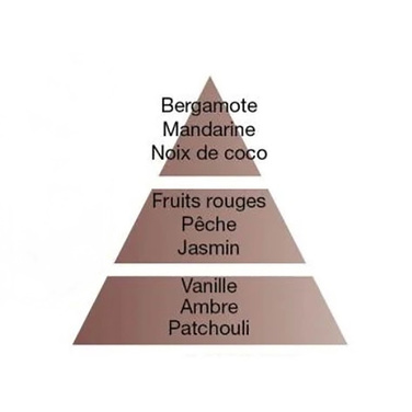 Аромат для лампи Maison Berger Paris ORIENTAL STAR, 500 мл