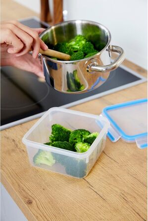 Набір контейнерів для зберігання продуктів EMSA Clip & Close, прямокутні, 5 x 0,8 л, коробки для зберігання, 100 герметичні, придатні для миття в посудомийній машині, морозильної камери та мікрохвильової печі, прозорі, сині, зроблені в Німеччині, N10307 (