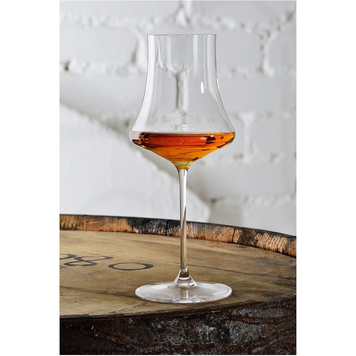 Набір для мартіні з 4 предметів, кришталевий келих, 260 мл, Willsberger Anniversary, 1416150 (коньячні келихи)