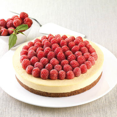 SFT122/C Форма силіконова 'Коло' 220 мм, h 42 мм