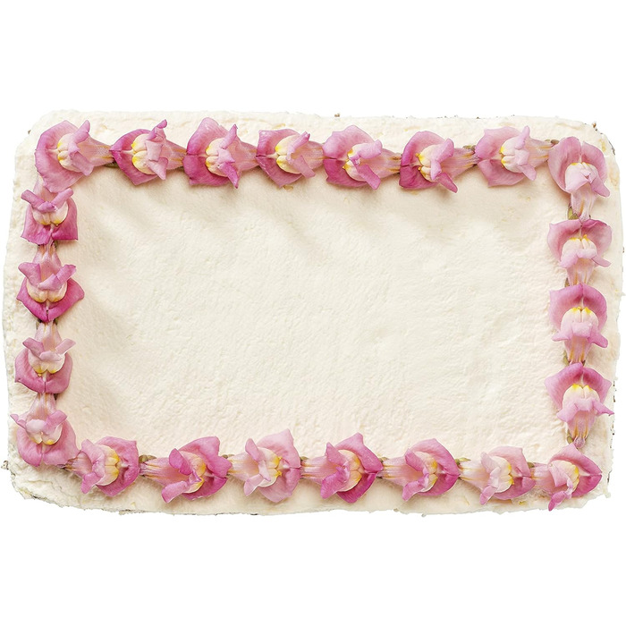 Форма для выпечки прямоугольная 28 см BACK-TREND, форма для выпечки с защитой от протечек, квадратная форма для выпечки из стали с антипригарным покрытием, армированным керамикой (цвет кремовый/антрацит), количество (38 x 25 см, комплект с пружинной формо