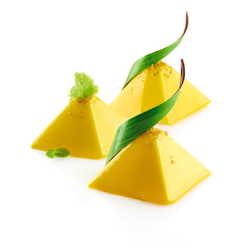 SF007/C Форма из резины