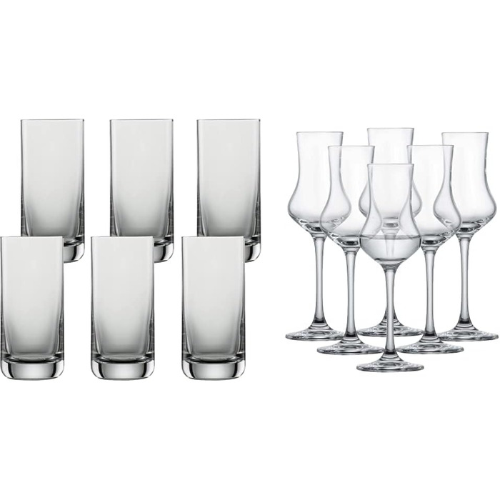 Пивний кухоль SCHOTT ZWIESEL Convention 0,2 л (набір з 6 шт.), простий пивний келих для пільзнера, кришталеві келихи Tritan, які можна мити в посудомийній машині, Зроблено в Німеччині (артикул 175500) (Пивний стакан - 0,32 л, комплект з Digestifset Classi