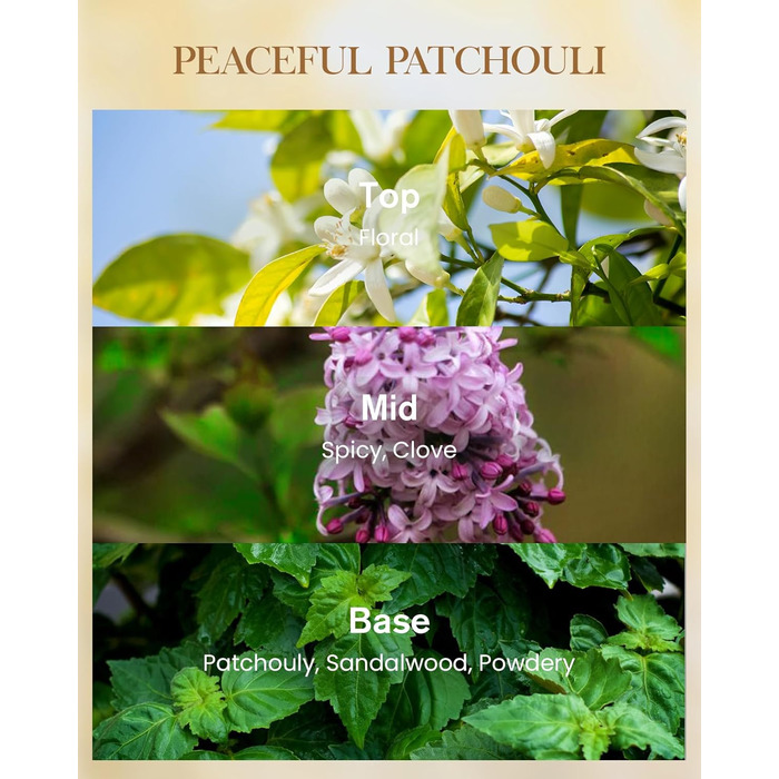 Ароматична свічка M&SENSE надзвичайно велика, час горіння 150 годин, натуральна ароматерапевтична свічка з 3 гнітами, сильний аромат, тривале горіння, подарункова свічка та прикраса для дому, подарунки для жінок (400 г, мирний пачулі)