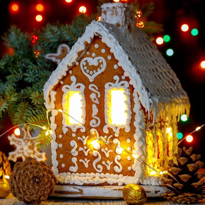 Форма для печива з нержавіючої сталі "Різдвяний будиночок своїми руками" HONGECB