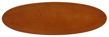 Блюдо овальное 44 х 14 см Country Life Terracotta Coup Fine Dining Seltmann