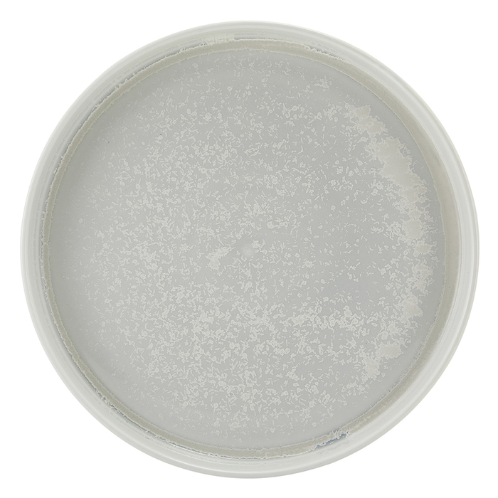 Тарелка презентационная 25*3.5 см с низким вертикальным бортом, Incise Porcelain Lustre, GenWare