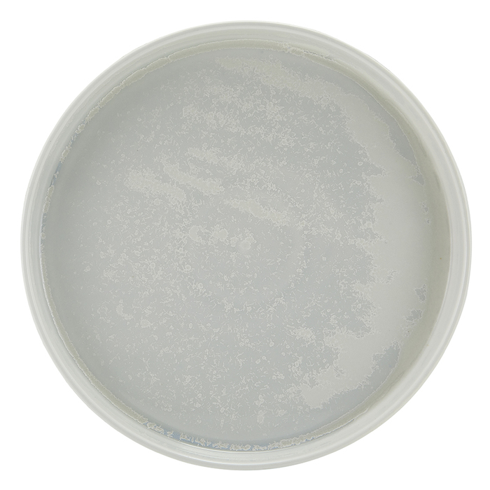 Тарілка презентаційна 25*3.5 см із низьким вертикальним бортом, Incise Porcelain Lucine, GenWare