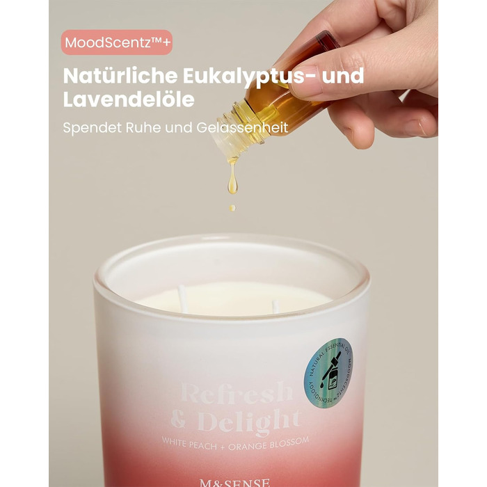 Ароматичні свічки M&SENSE Сосна та кедр у банці, велика соєва свічка 400 г з двома гнітами, час горіння 80 годин, ароматерапевтична свічка для йоги, спа та медитації. Подарунок для дівчини, дружини чи матері. Сосна та кедр (білий персик та квітка апельсин