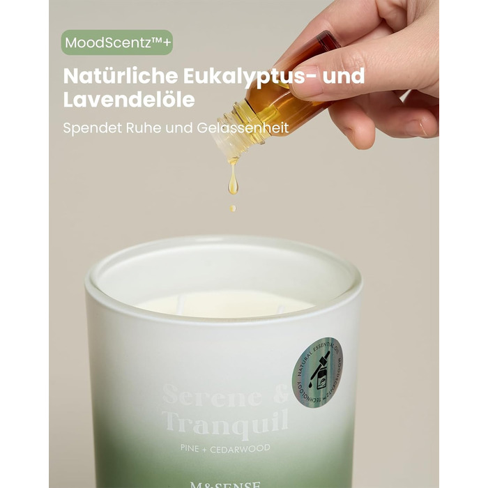 Ароматичні свічки з сосни та кедра в банці 400 г, час горіння 80 годин M&SENSE