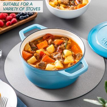 Чавунна сковорода Vancasso, чавунна каструля з кришкою, емальоване покриття об&39ємом 5 л, індукційна каструля, каструля, чавунна сковорода для всіх типів плит, підходить для індукції, кругла, кремово-біла, 5 л біла (синя, 20 см)