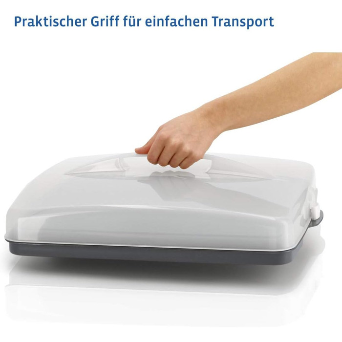 Кругла транспортувальна коробка для торта Xavax з кришкою, контейнер для торта діаметром 31,5 см, внутрішня висота 8 см, коробка для торта з пристроєм поділу шматків, антрацитова форма для торта, прозора (коробка для транспортування листкового торта)