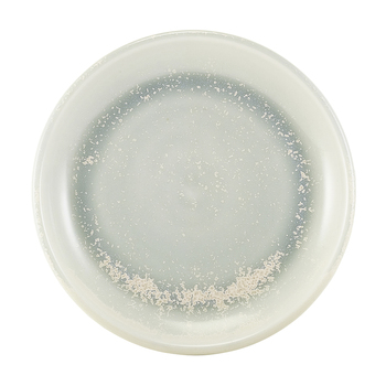 Тарілка кругла 19 см, Terra Porcelain Pearl, GenWare